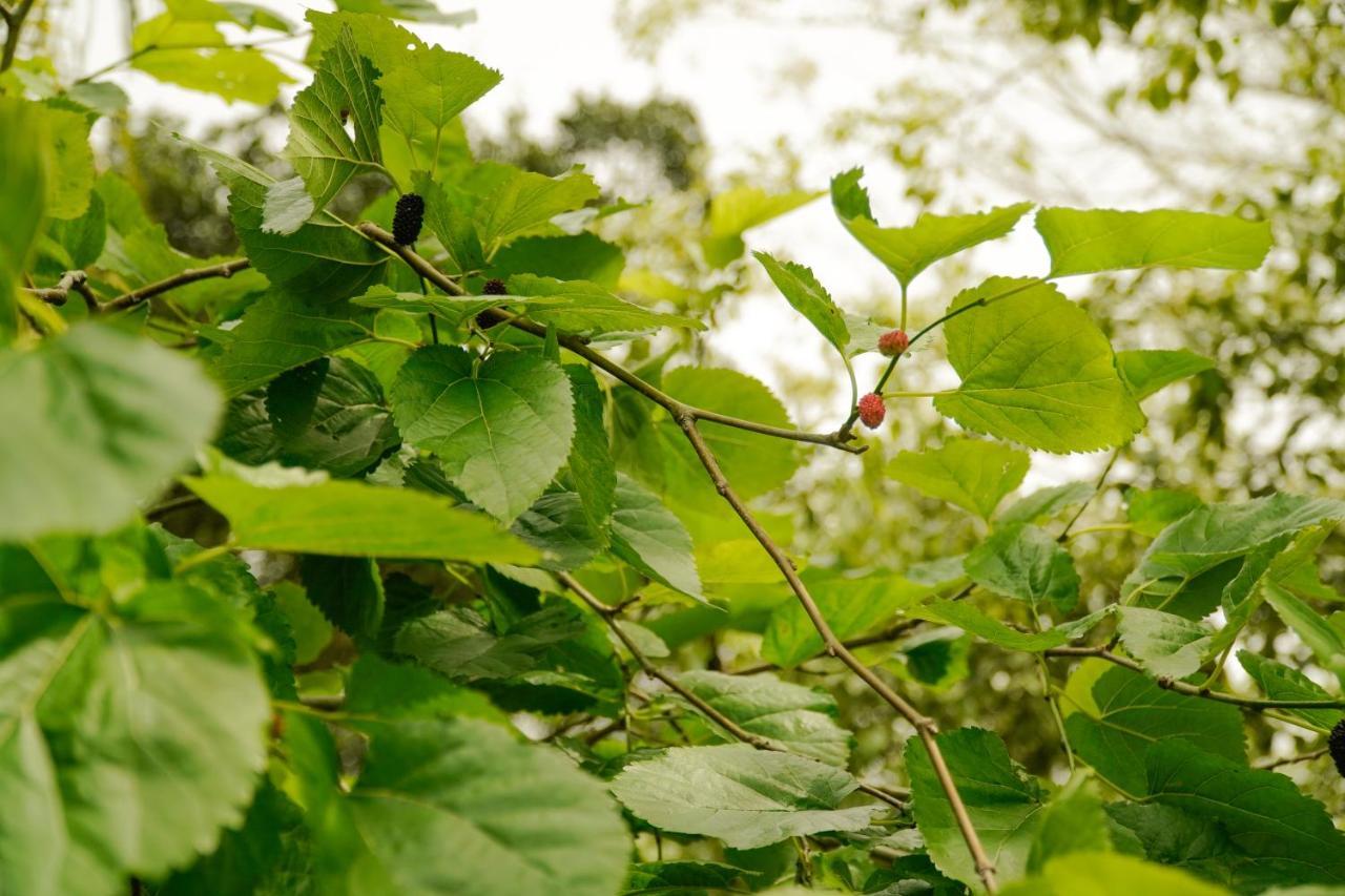 Pousada Dunasol Floripa ฟลอเรียนอโปลิส ภายนอก รูปภาพ