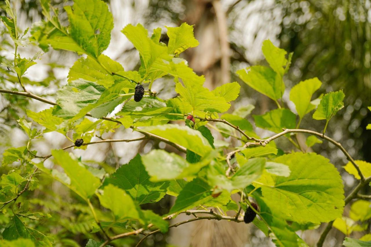 Pousada Dunasol Floripa ฟลอเรียนอโปลิส ภายนอก รูปภาพ