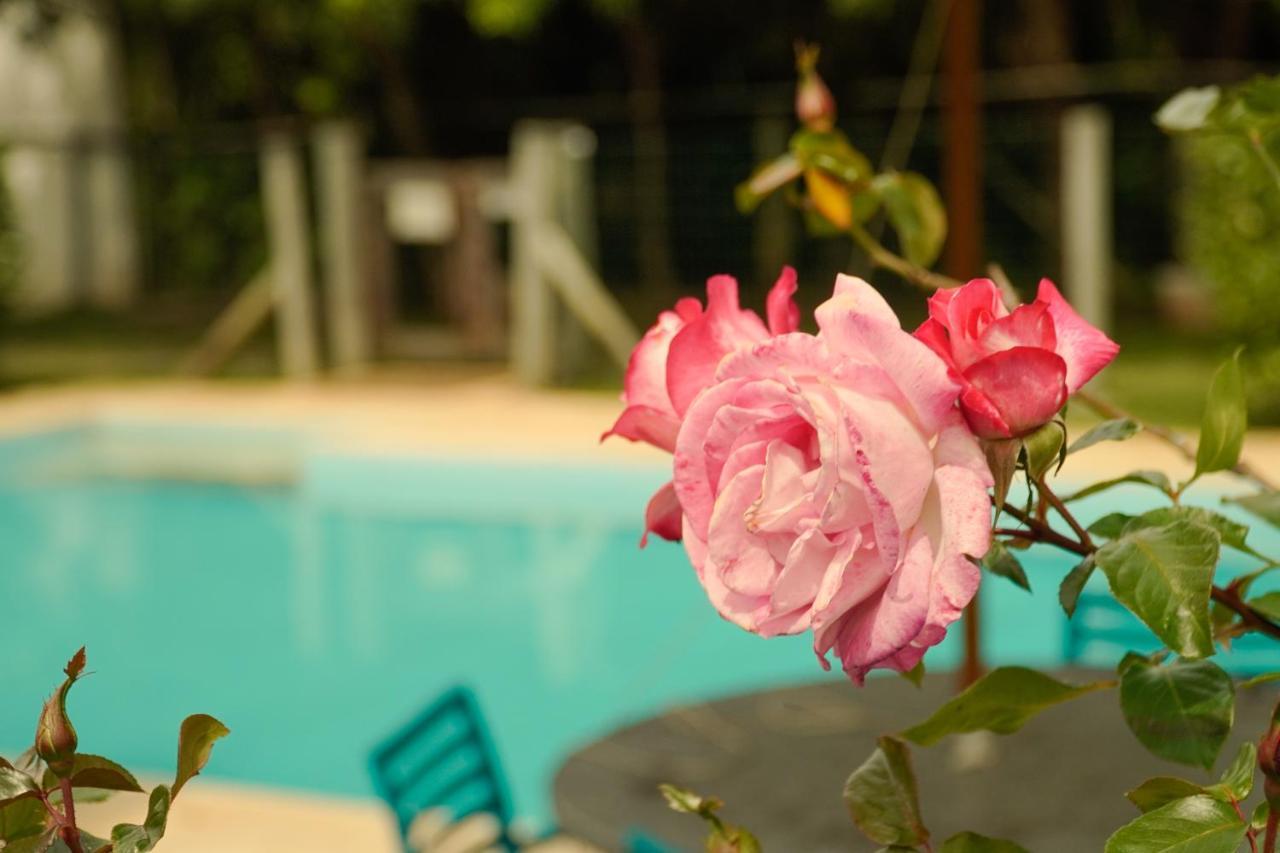 Pousada Dunasol Floripa ฟลอเรียนอโปลิส ภายนอก รูปภาพ