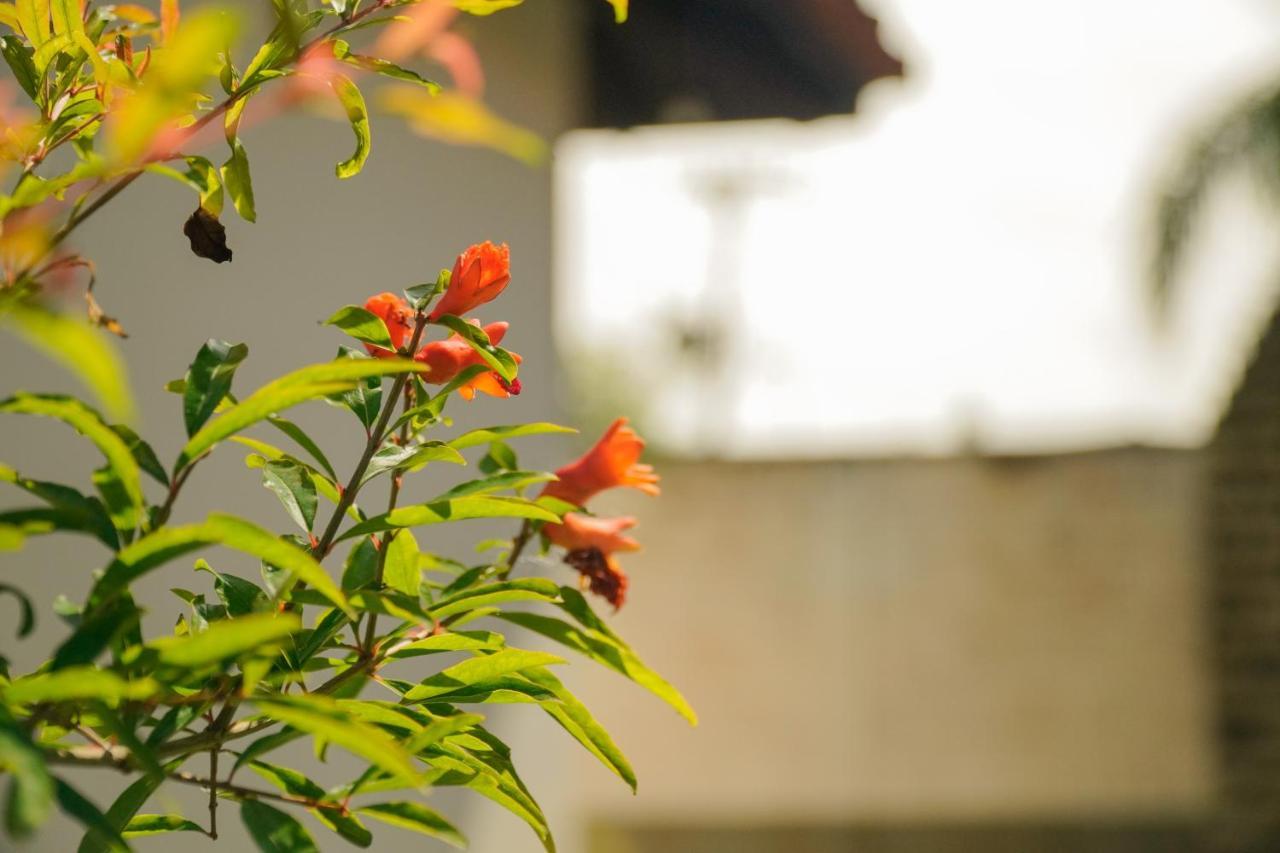 Pousada Dunasol Floripa ฟลอเรียนอโปลิส ภายนอก รูปภาพ