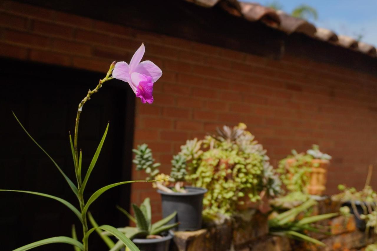 Pousada Dunasol Floripa ฟลอเรียนอโปลิส ภายนอก รูปภาพ
