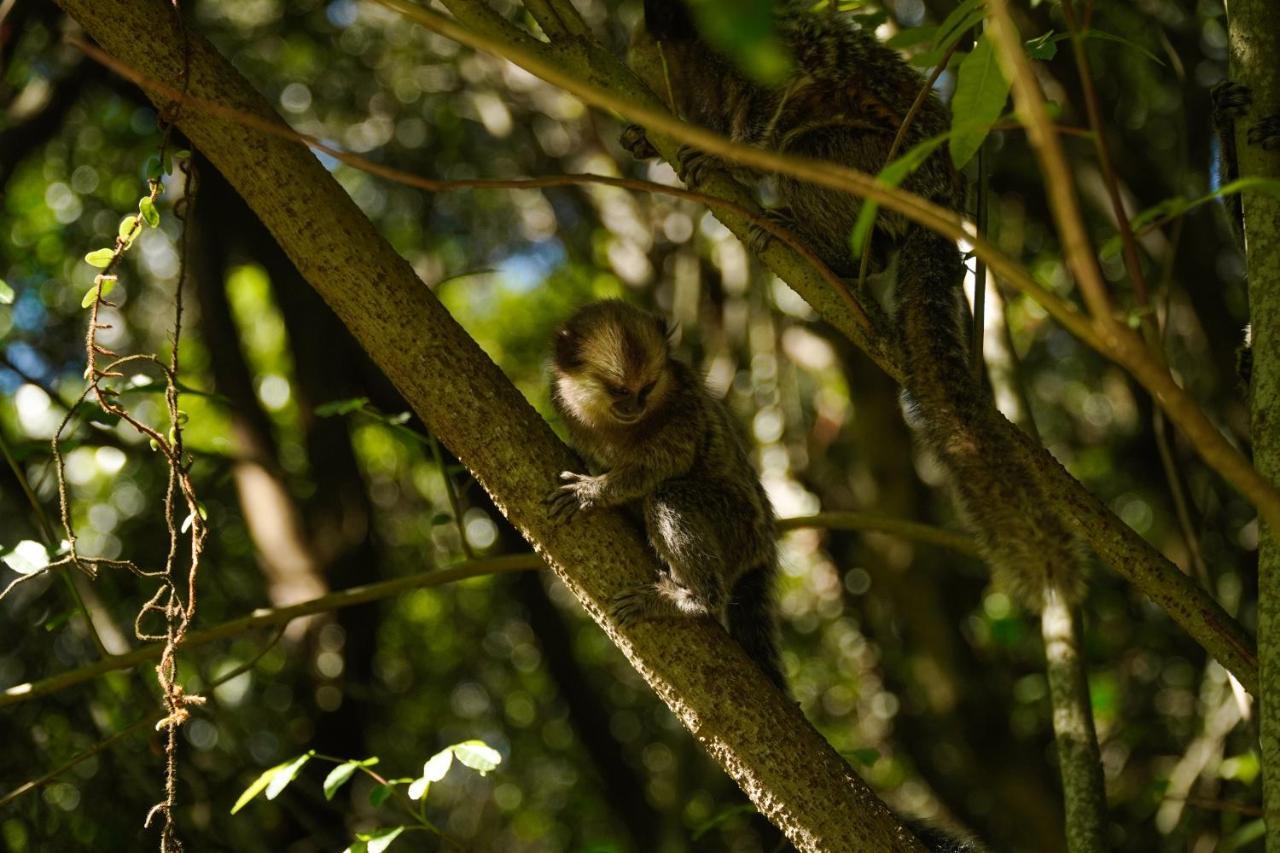 Pousada Dunasol Floripa ฟลอเรียนอโปลิส ภายนอก รูปภาพ
